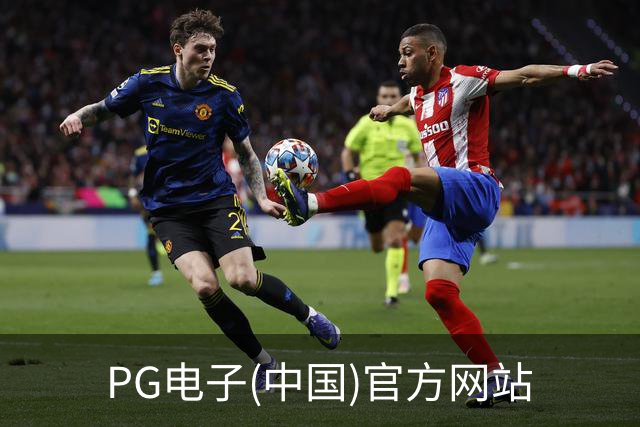 专业PG电子(中国)官方网站平台
